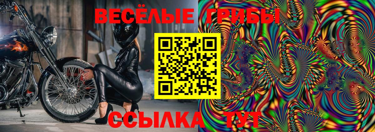 Псилоцибиновые грибы прущие грибы Удомля